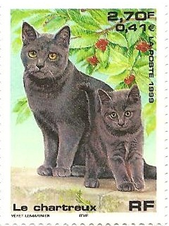 Kot na znaczku pocztowym